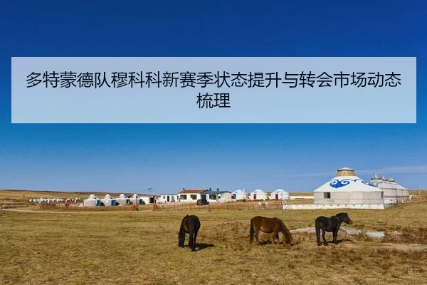 多特蒙德队穆科科新赛季状态提升与转会市场动态梳理 | bwin